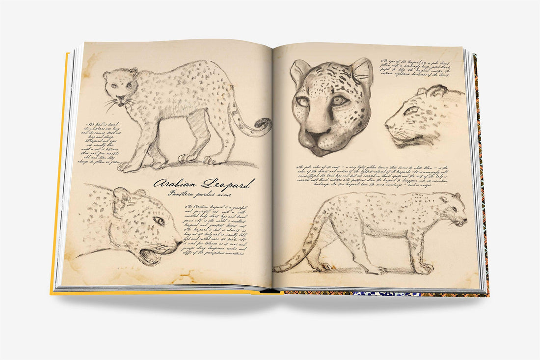 Coffee Table Book Arabian Leopard