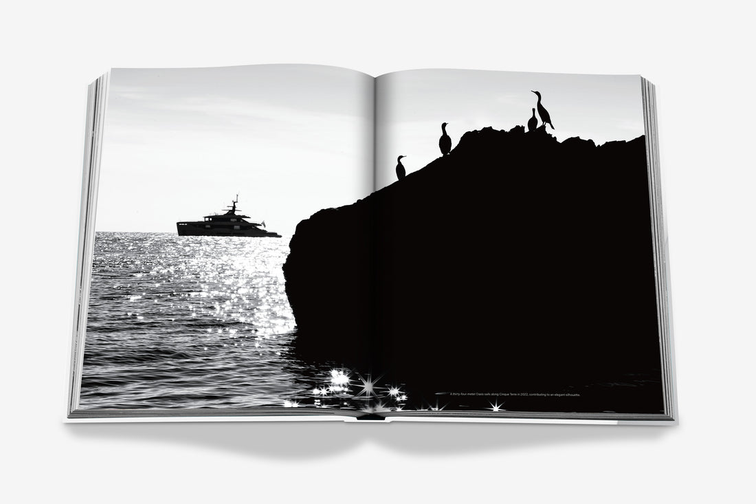 Coffee Table Book Benetti