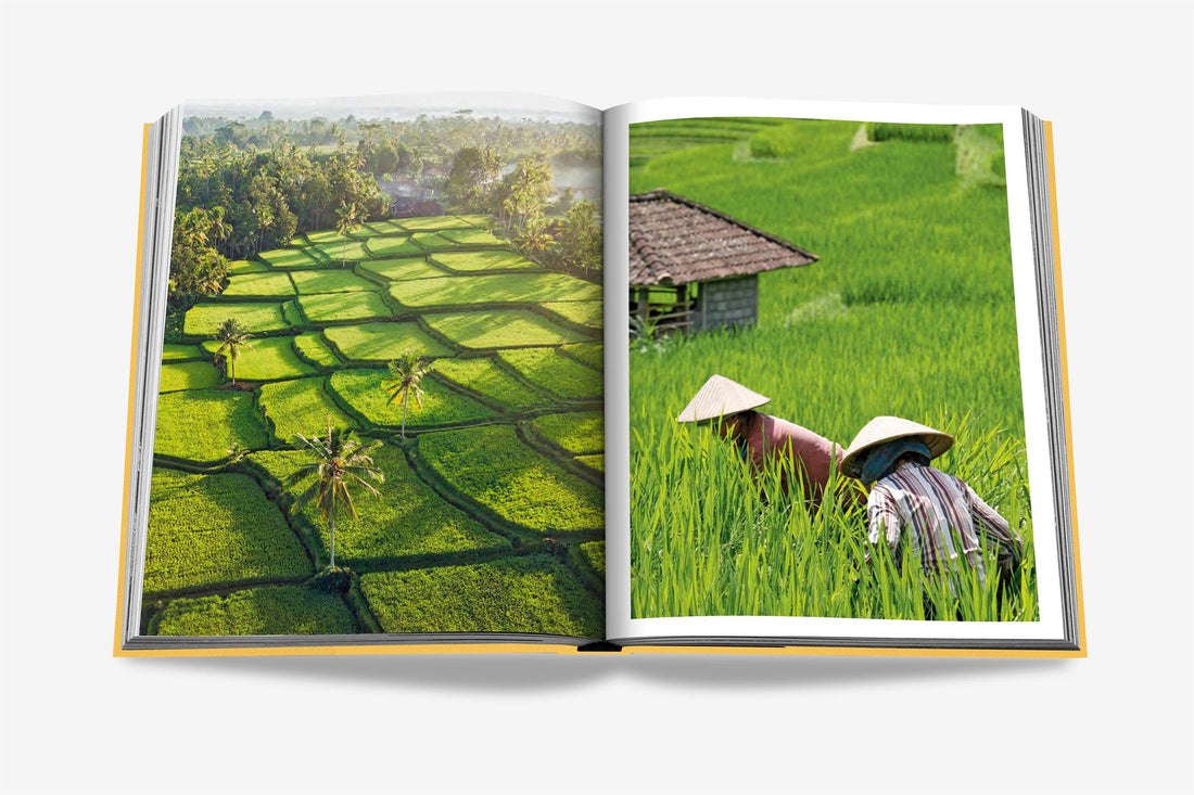 Coffee Table Book Bali Mystique