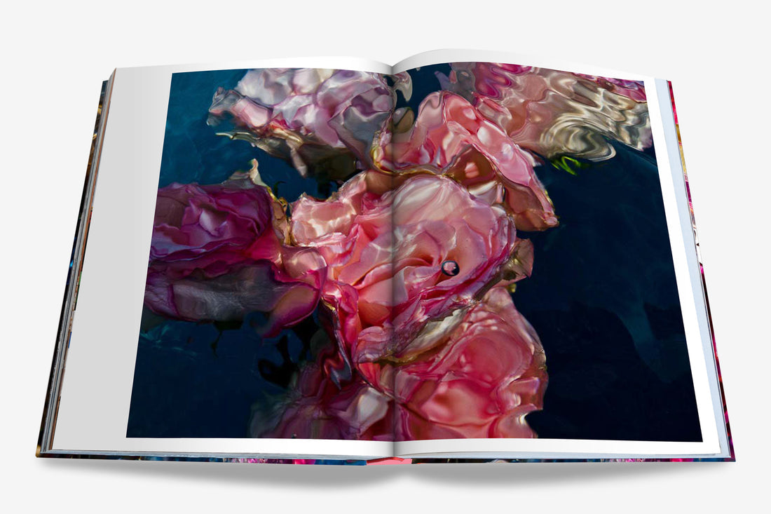 Coffee Table Book Flowers: Art & Bouquets