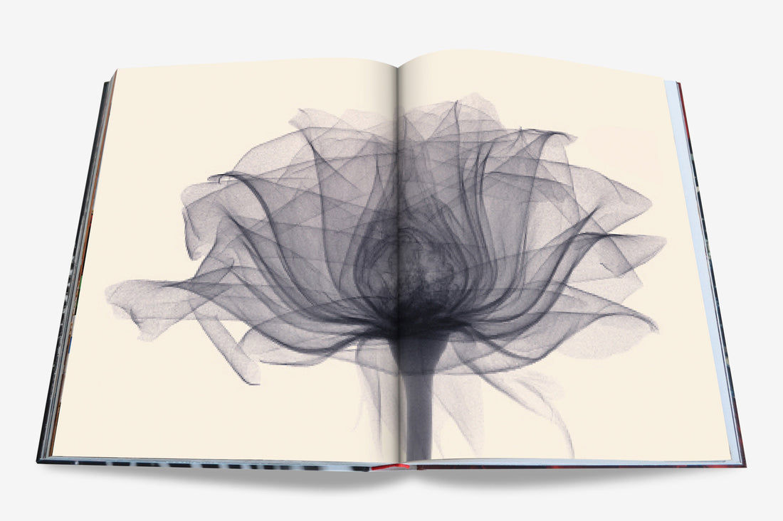 Coffee Table Book Flowers: Art & Bouquets