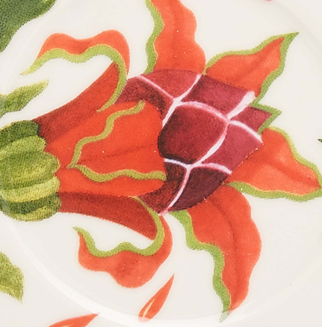 Big Mama Cup & Saucer.Eden in Porcelain. Set of 2