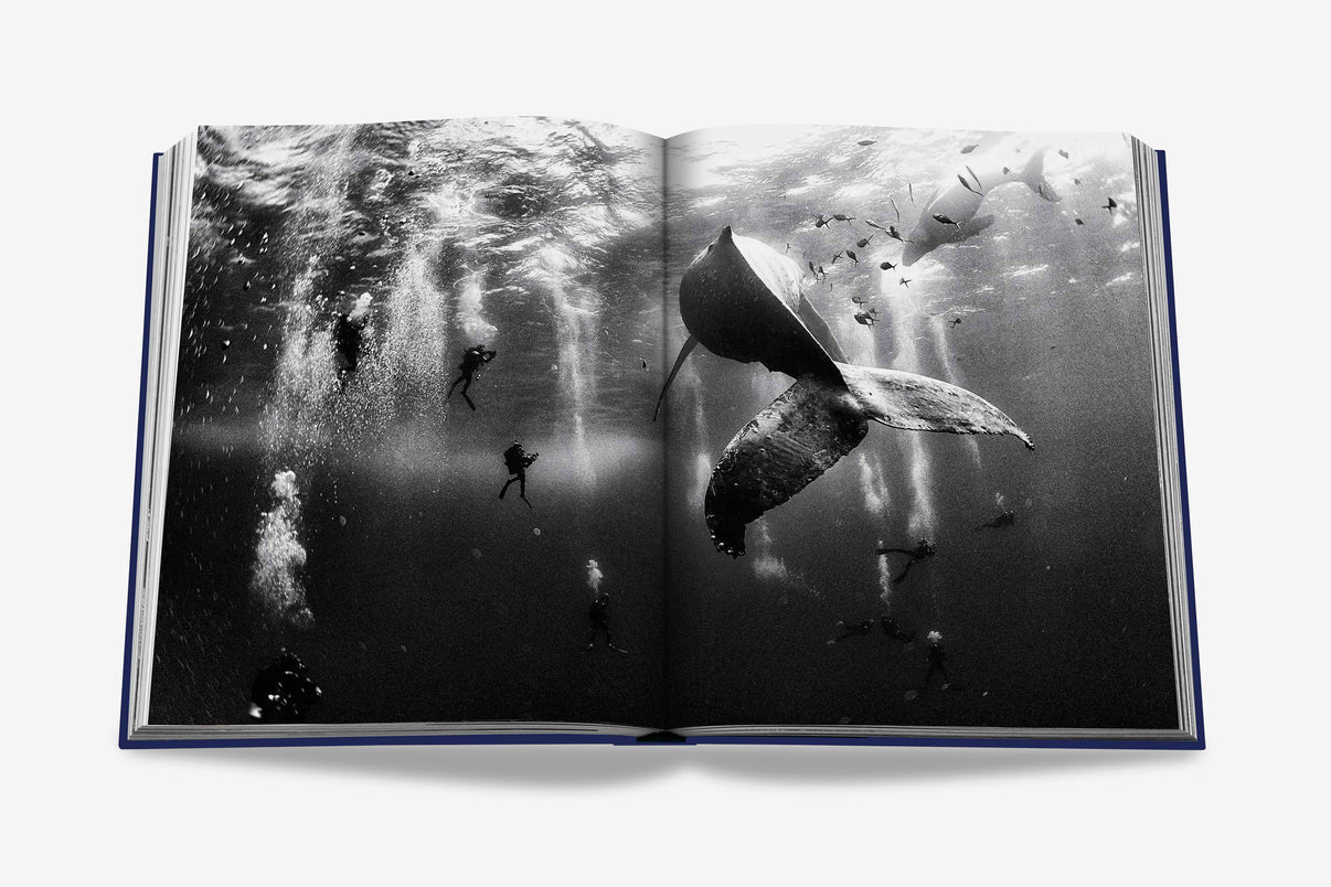 Coffee table book OCEAN WANDERLUST
