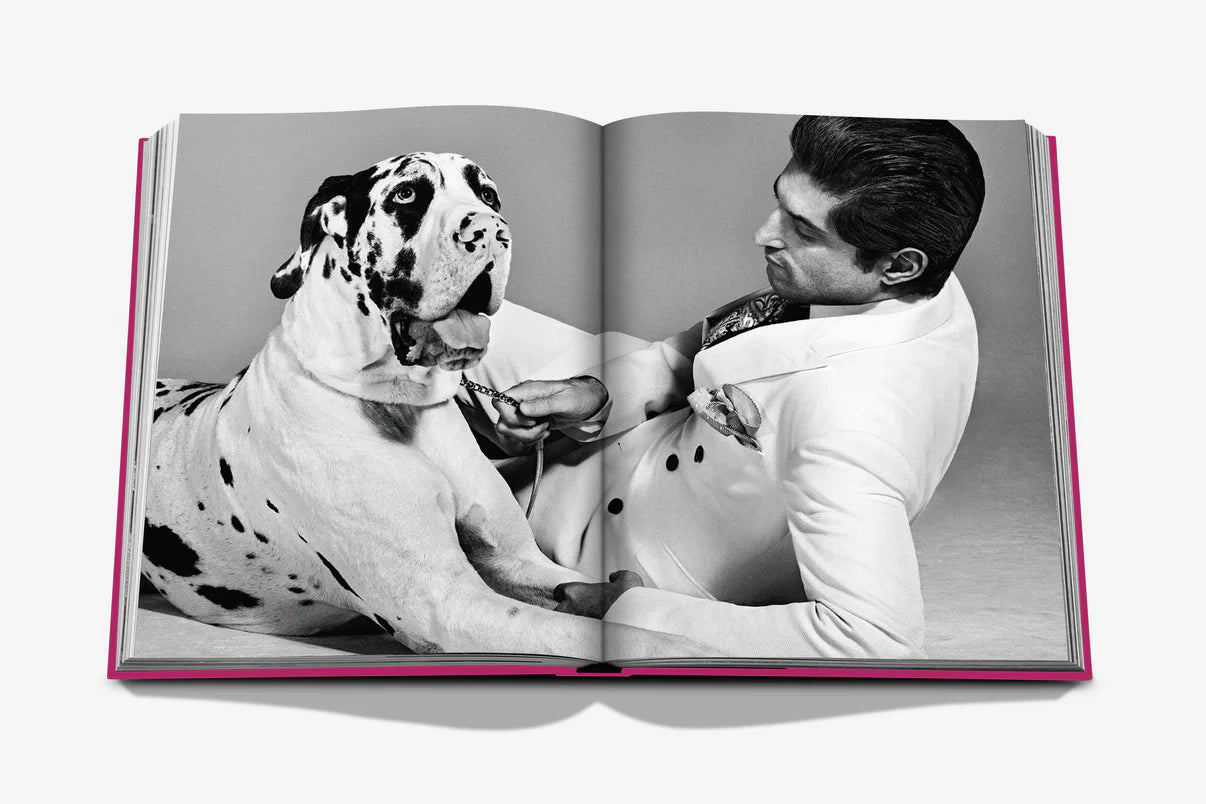 CHIC DOGS