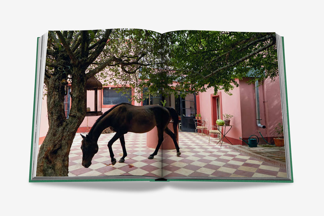 Coffee Table Book Punta del Este