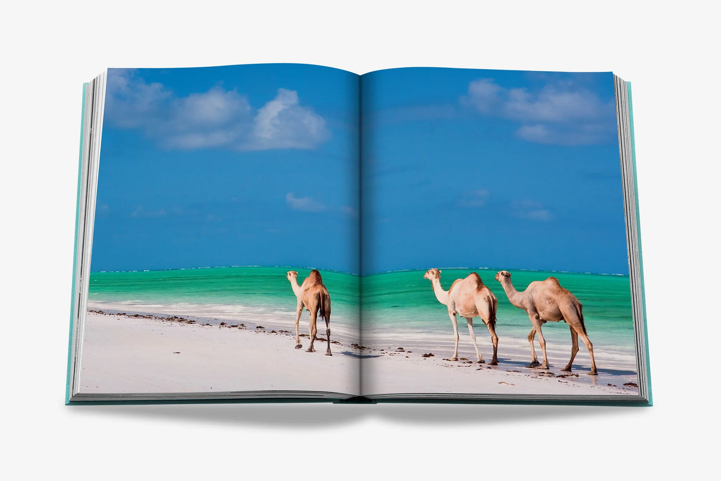 Coffee table book (REDSEA The Saudi Coast)