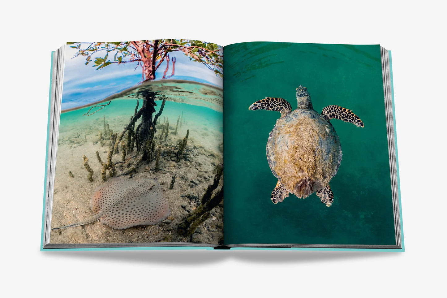 Coffee table book (REDSEA The Saudi Coast)
