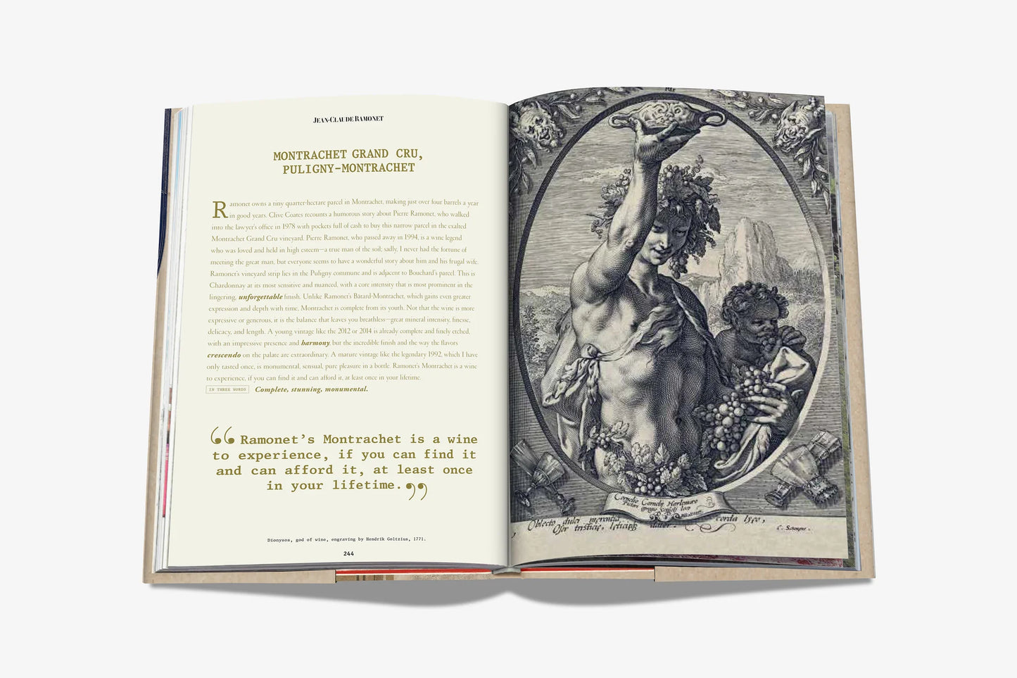 The 100 Burgundy: Exceptional Wines to Build a Dream Cellar