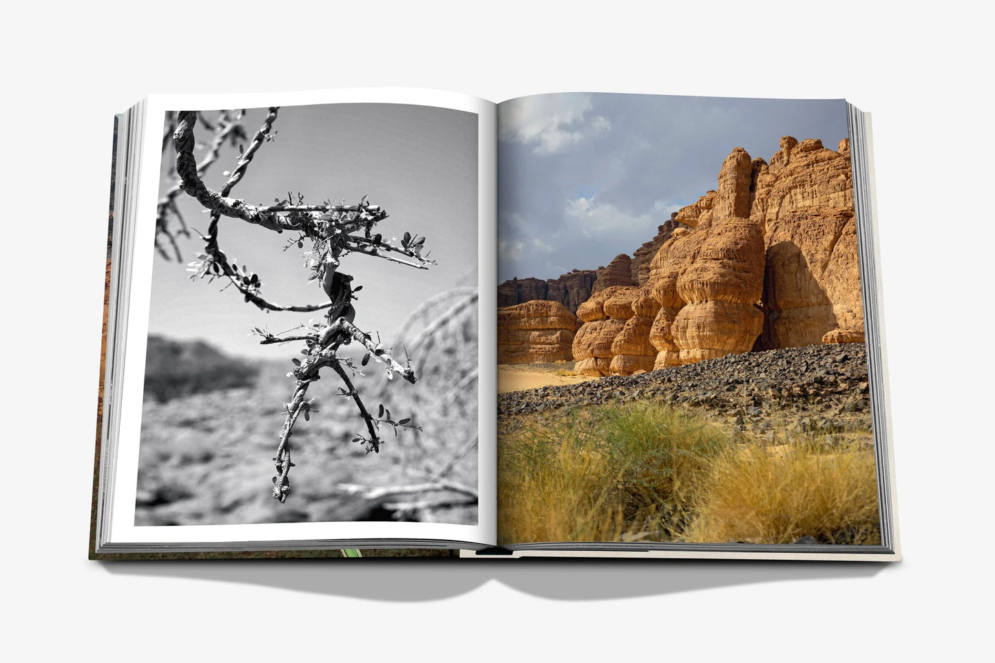 AlUla Flora