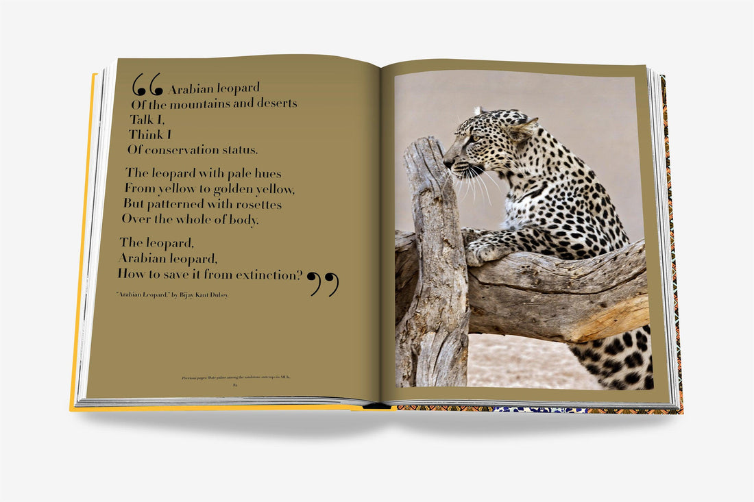 Coffee Table Book Arabian Leopard