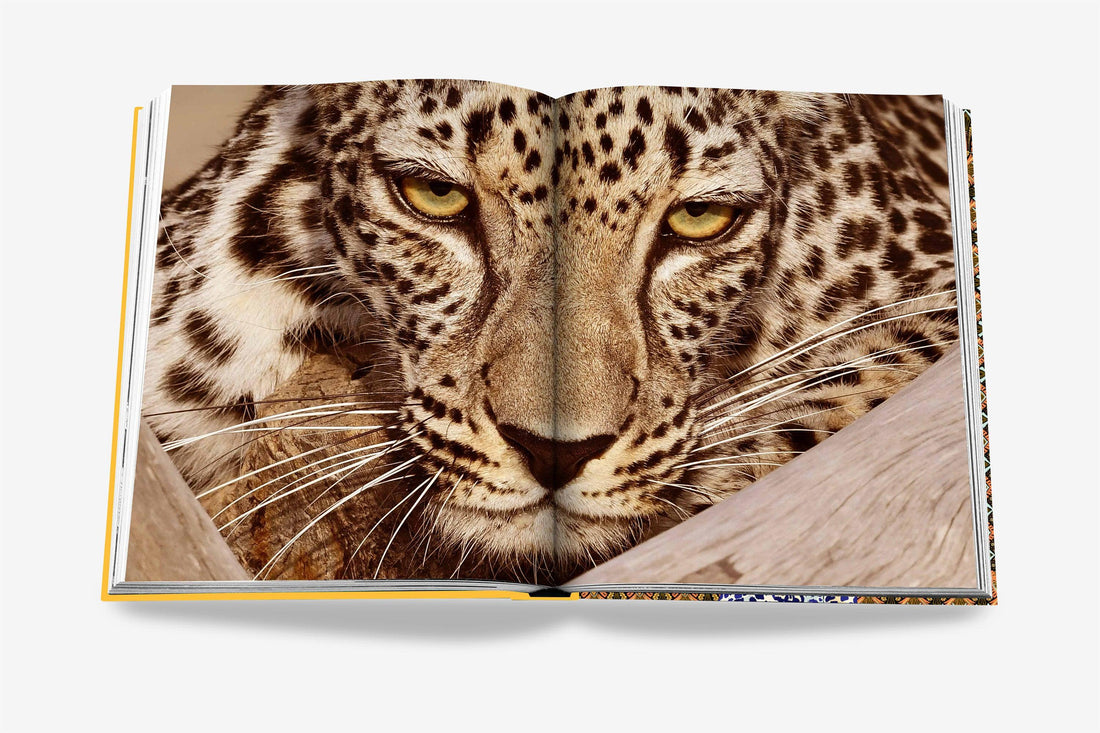 Coffee Table Book Arabian Leopard