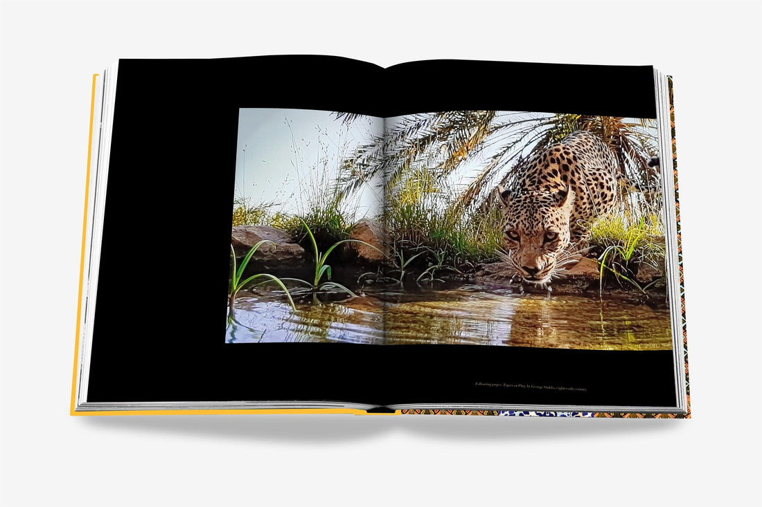 Coffee Table Book Arabian Leopard