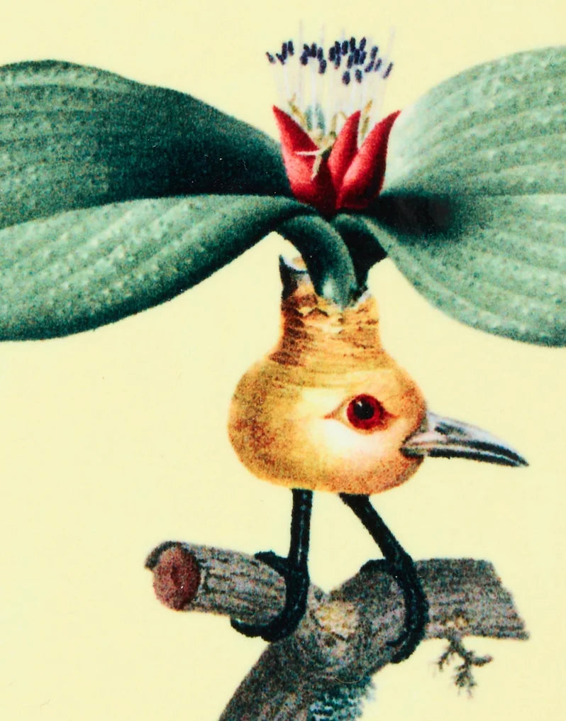 Disk Placemat Leafflyer Pale Yellow in Cork