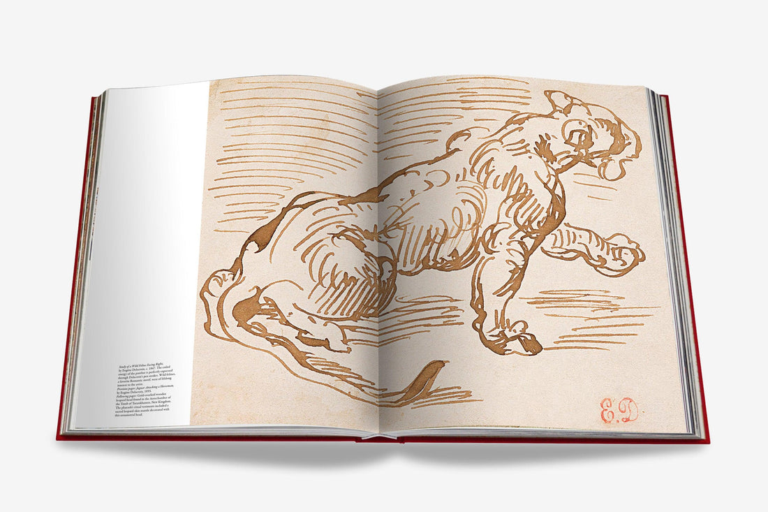 Coffee Table Book CARTIER PANTHÈRE