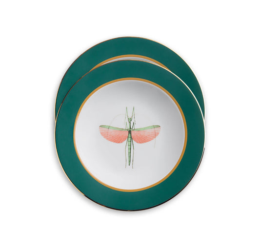 Soup Plates Set Of 12.          Libellula in Porcelain