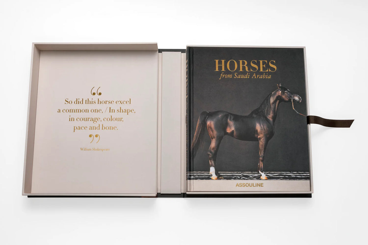 Kingdom of Saudi Arabia Series Horses from Saudi Arabia