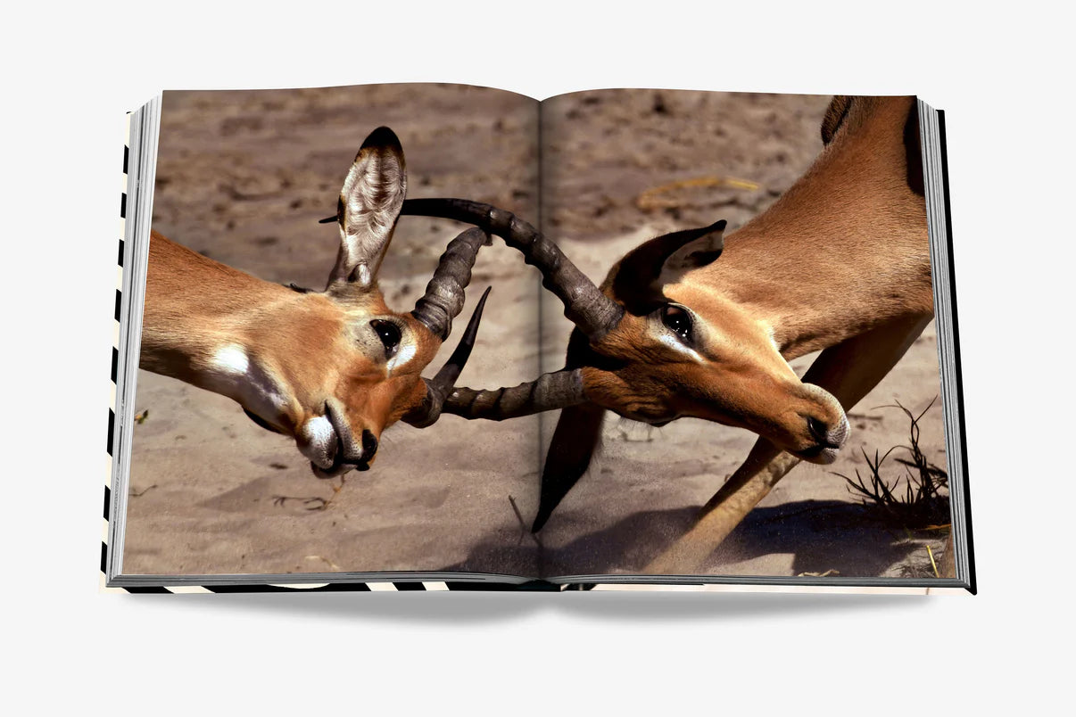Coffee table book AFRICAN ADVENTURES: THE GREATEST SAFARI ON EARTH