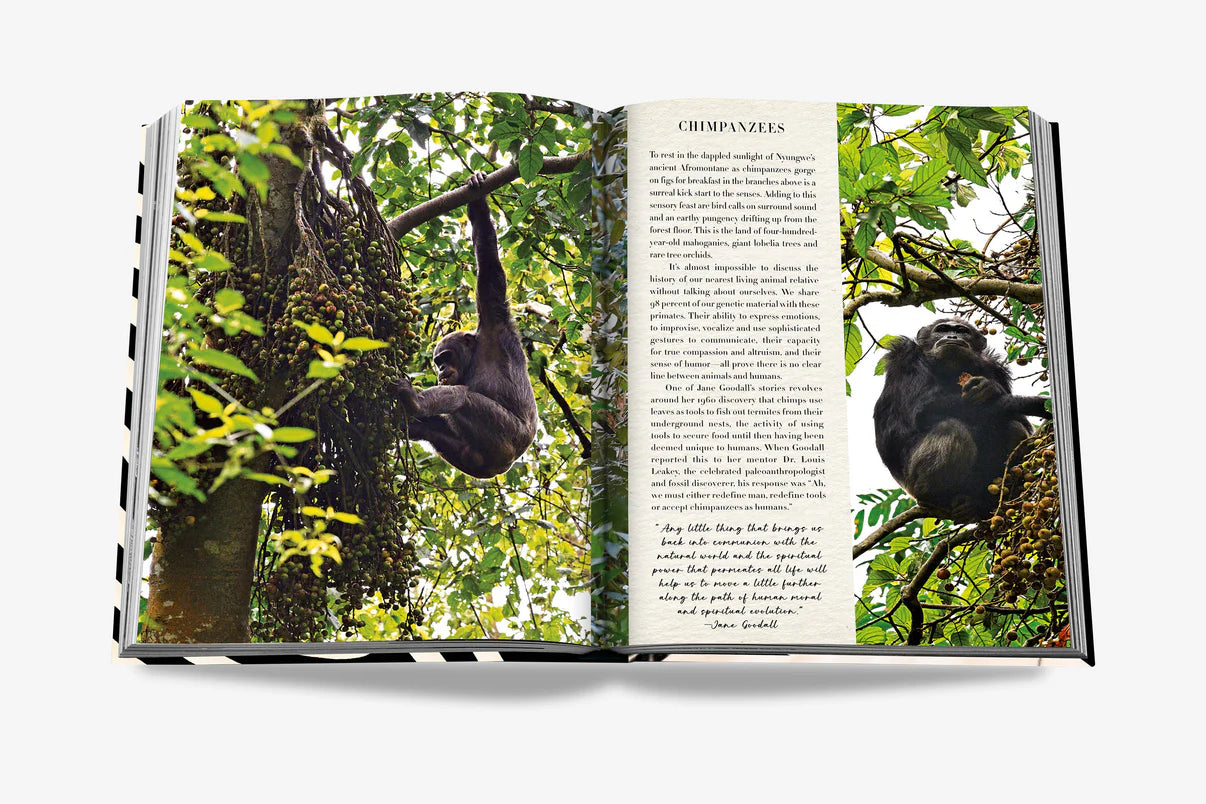 Coffee table book AFRICAN ADVENTURES: THE GREATEST SAFARI ON EARTH