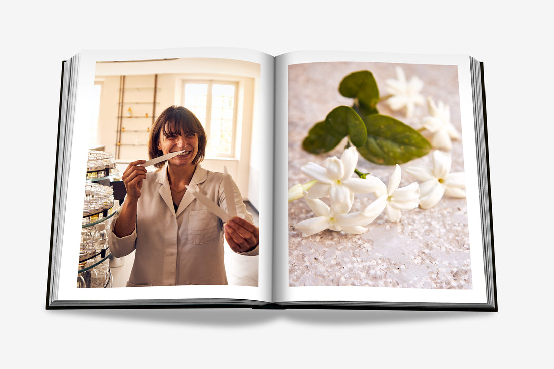 Coffee Table Book Louis Vuitton Manufactures