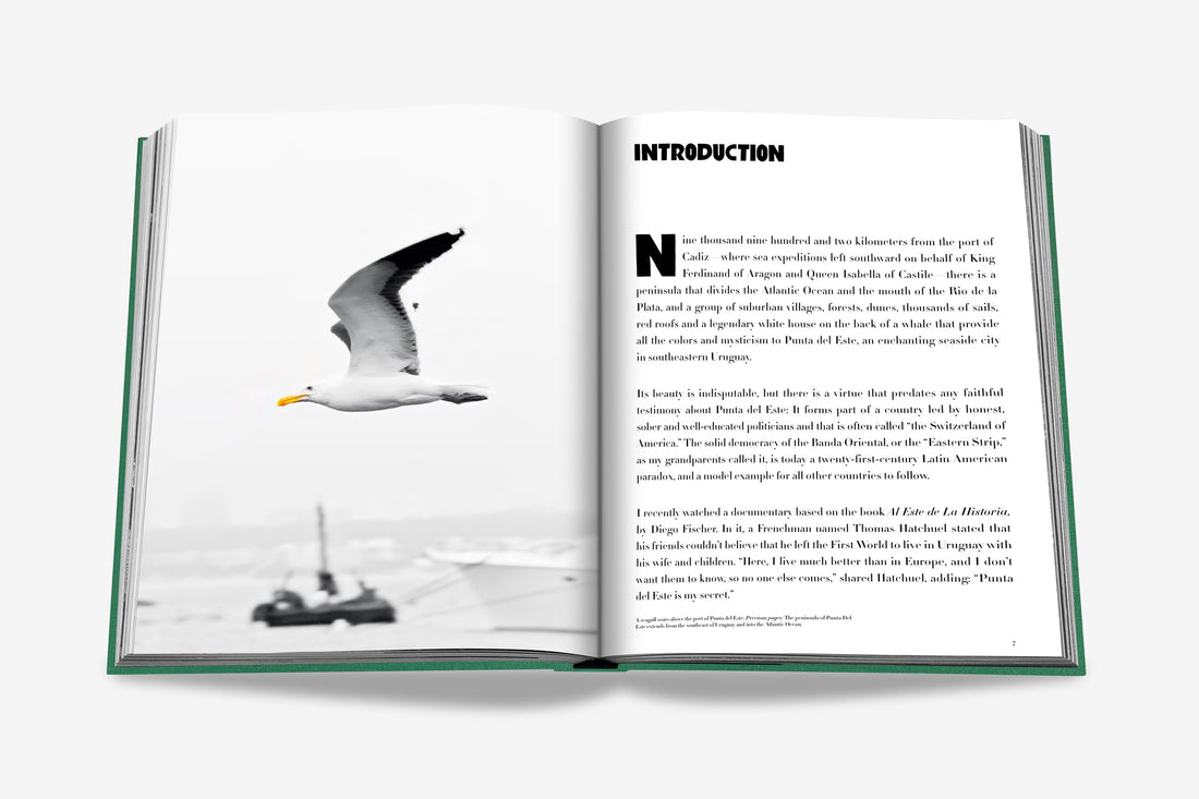 Coffee Table Book Punta del Este