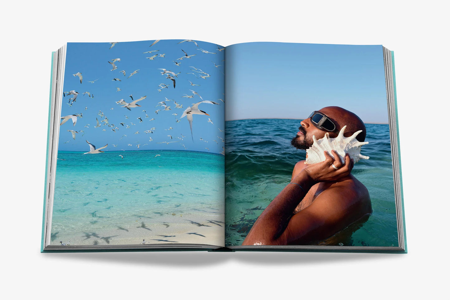 Coffee table book (REDSEA The Saudi Coast)