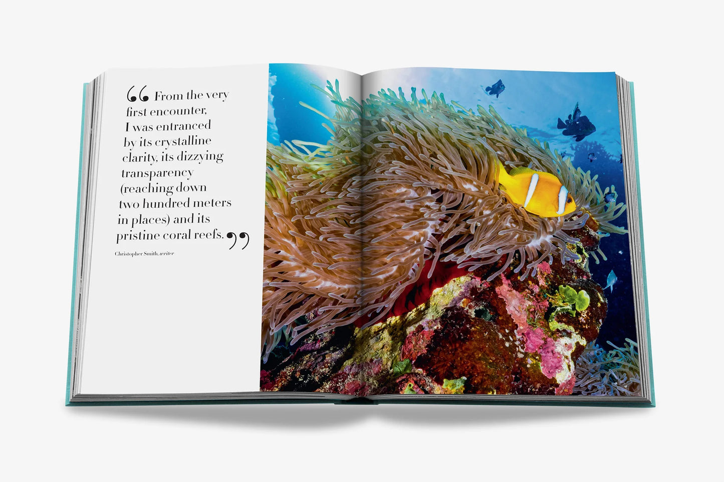 Coffee table book (REDSEA The Saudi Coast)