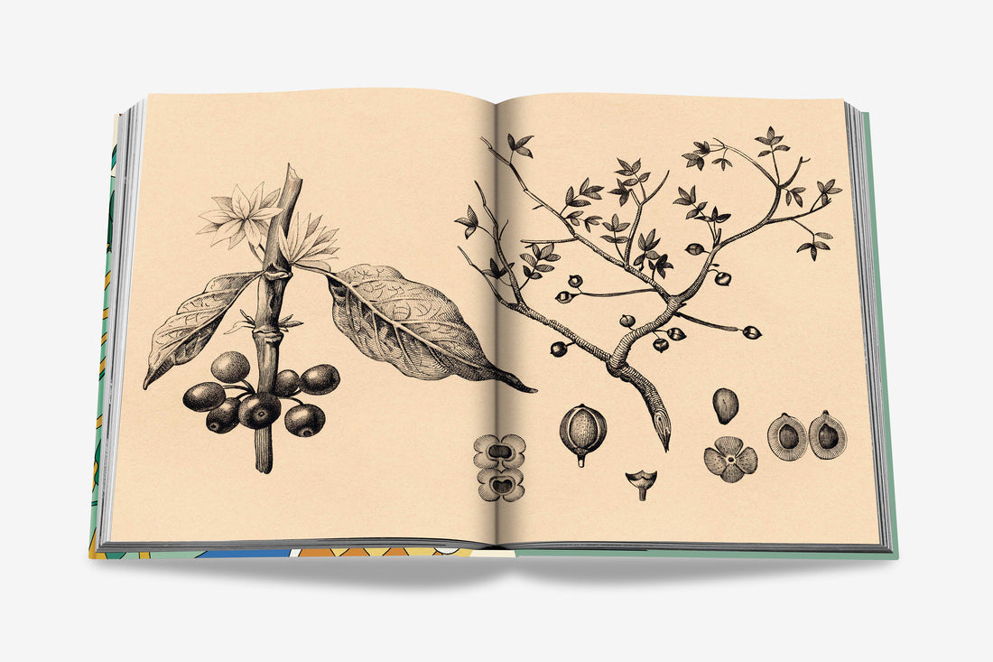 Coffee Table Book Saudi Coffee: The Culture of Hospitality