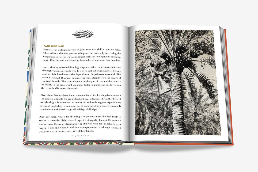 Coffee Table Book Saudi Dates: A Portrait of the Sacred Fruit