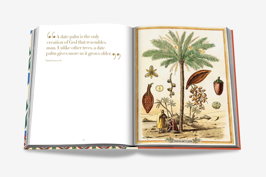 Coffee Table Book Saudi Dates: A Portrait of the Sacred Fruit