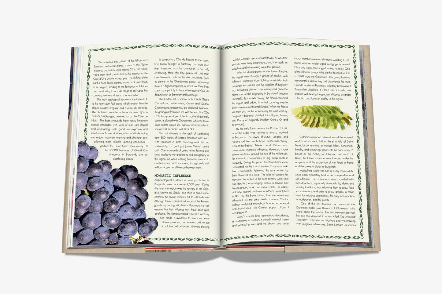 The 100 Burgundy: Exceptional Wines to Build a Dream Cellar