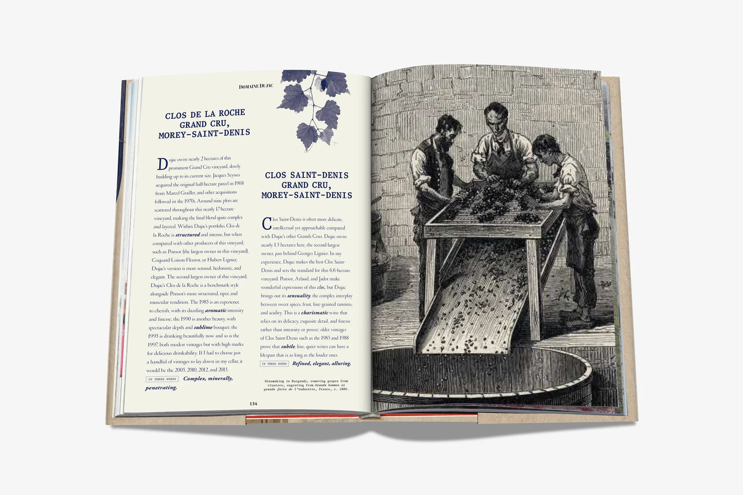 The 100 Burgundy: Exceptional Wines to Build a Dream Cellar