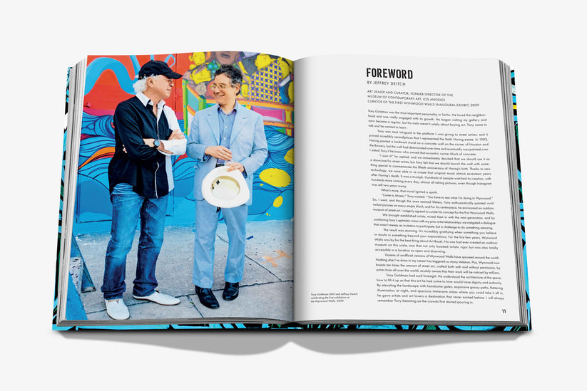 Street Art Icons: The Story of Wynwood Walls